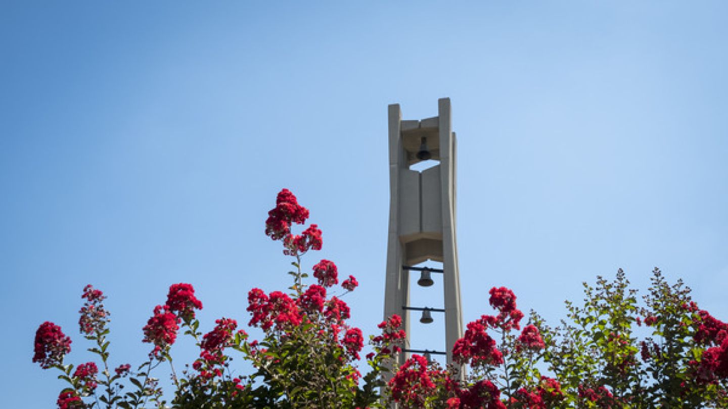 Image of the Bell Tower at Temple during the day with flowers in the foreground